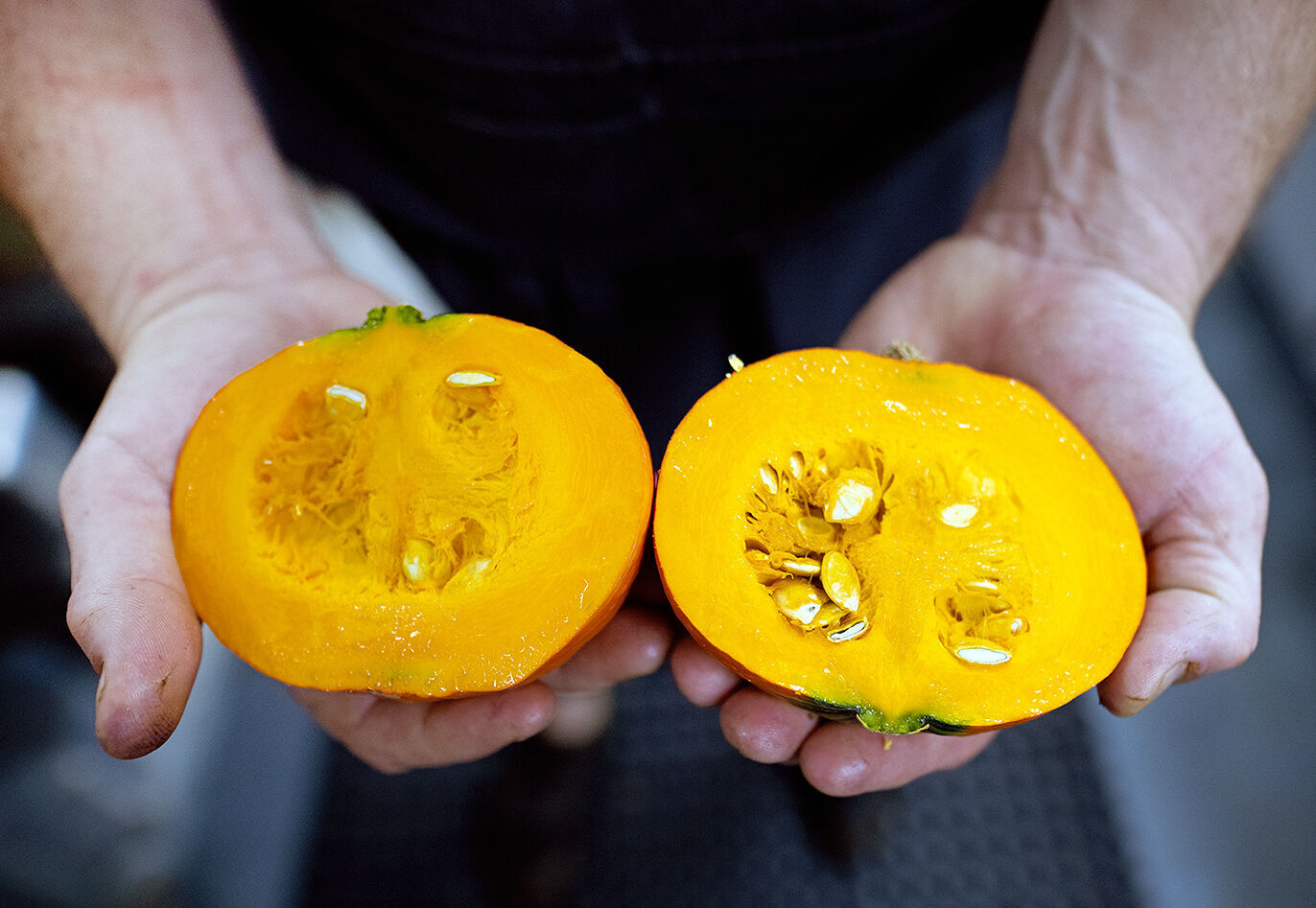 Steven Gedra with pumpkin